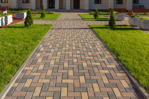 Best Driveway Paver Repairs and Restoration in Lake Vla, IL